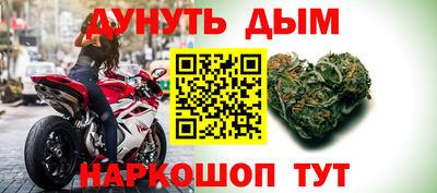 сатива Коммунар