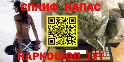 сатива Коммунар