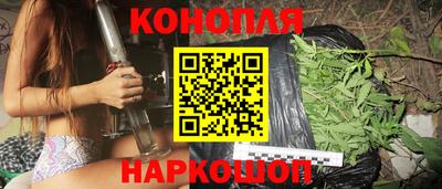 сатива Коммунар